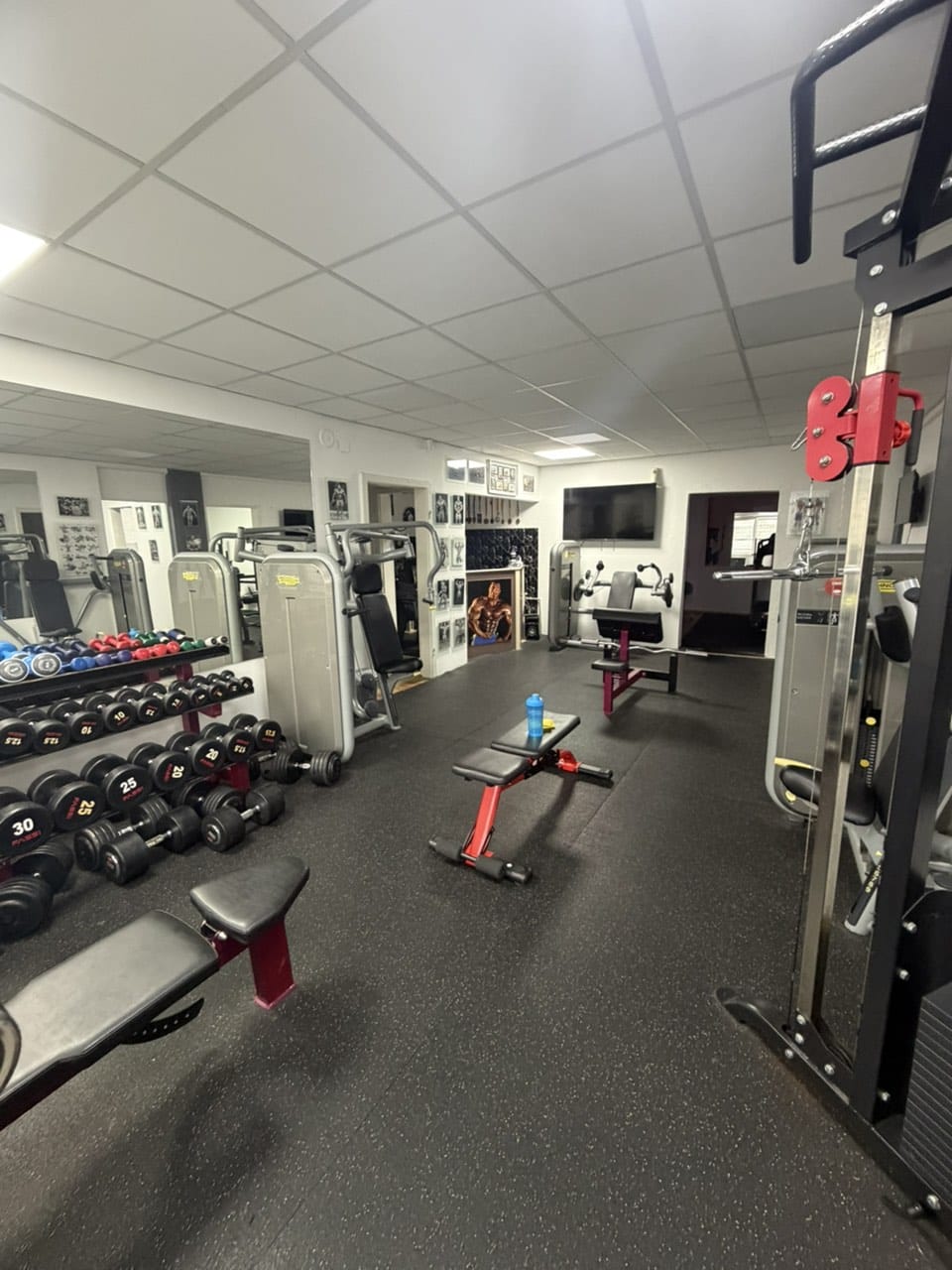 Внатрешност 4